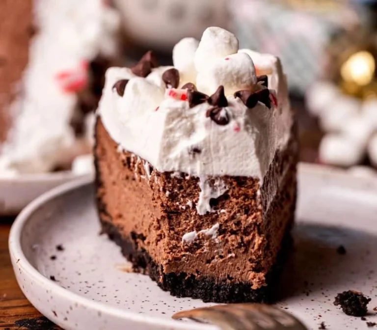 Delicious hot chocolate cheesecake topped with whipped cream and chocolate shavings.